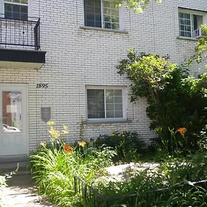 D'iberville Montreal