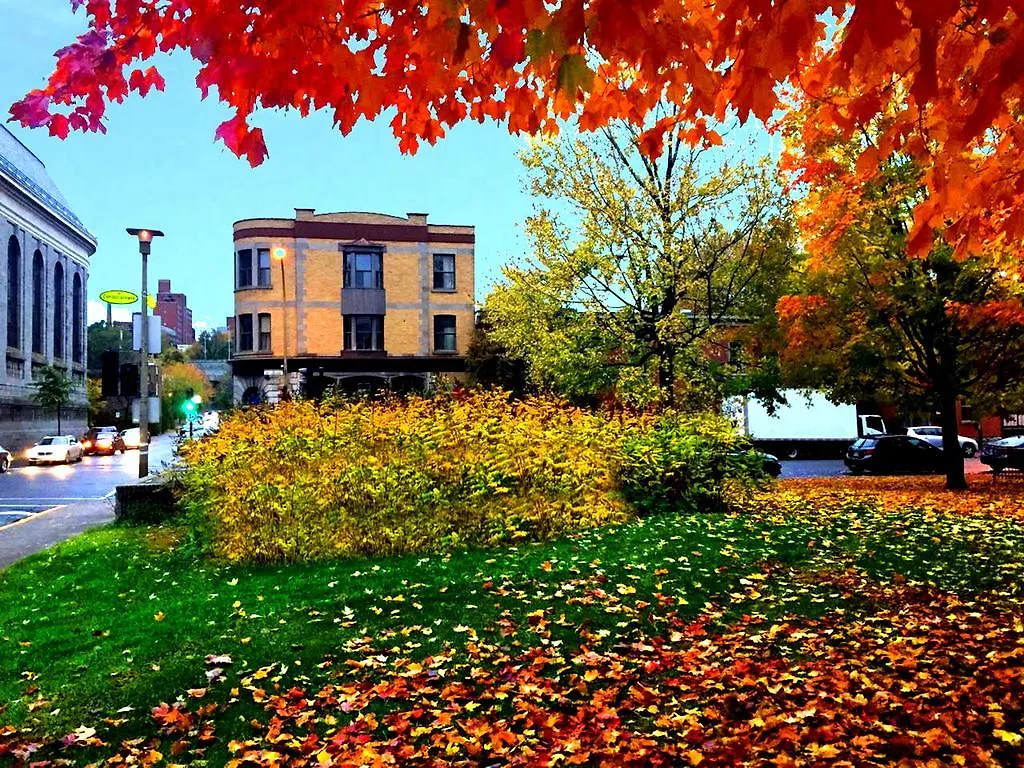 Guest house Hotel Bon Soleil Montreal